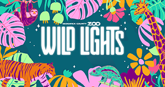 Logo for Wild Lights